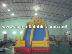 China Customized Party Rental Slide In Tiger Desisn For Kids factory