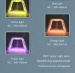 Professional Photon 7 Colors PDT Led Light LED Facial Mask Machine For Skin