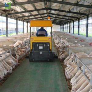 China Prefabricated Steel Structure Cow House Farm Farm Shed Full Equipment factory