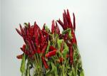 7CM Whole Dried Chillies No Additive Stemmed Spicy Dried Peppers