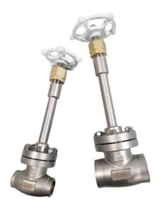 China PN40 Socket Weld Globe Valve SS304 SS316 Cryogenic Globe Valve factory