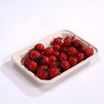 Supermarket Bagasse Food Tray Disposable Food Grade Various Sizes Available