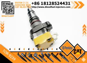 China Cat Engine Parts 3126 Cat Injectors 198-4752 1OR-9239 174-7526 232-1168 232-1170 173-9268 for Caterpillar Cat 3126 Injector factory