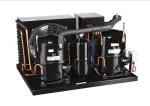 Condensing unit for cold room storage CAJ2446ZBR R404A 1HP compressor small