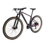 Thru Axle 12*148mm Carbon Fiber Mountain Bike SRAM GX EAGLE Lunar 12 Speed