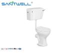 Washdown Two Piece Toilet Colorful Ceramic Sanitary Ware Wall Mounted Type