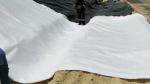 Nonwoven Polypropylene Filament Geotextile Mat Geosynthetic Fabric ASTM
