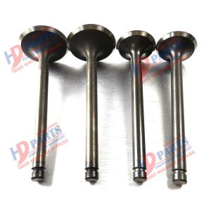 China Diesel Nissan Engines Parts PD6 Valve 13201-96025 13202-96025 factory
