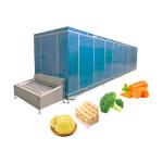 Tunnel IQF Fast Freezing Cryogenic Blast Freezer Machine With Freezing Time