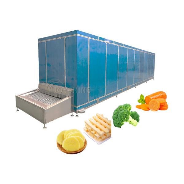 Quick Freeze Machine Low Temperature Blast Freezer For Industrial 600kg/H