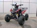Electric Starting Youth Racing ATV 110cc Displacement 7" Tires Four Stroke