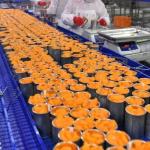 Leadworld Canned Fruit Production Line Canned Orange Processing Line