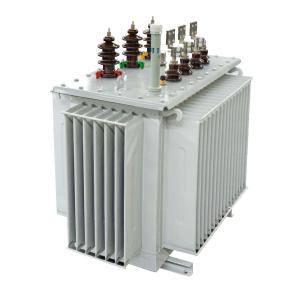 China 6.6KV/S11 Oil-immersed transformer fully sealed two windings factory