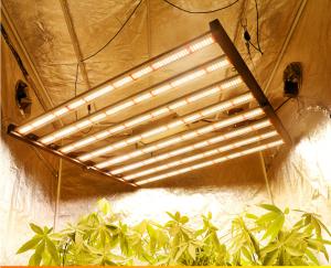 China ETL Approved Adjust Spectrum 0-10V Dim LED Grow Light 8bar 640watt factory