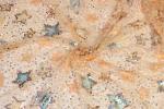 Multipatterned Bridal Lace Fabrics , Breathable Luminous Sequin Lace Fabric