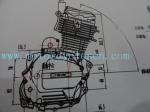 162FMK CG175 200 250 Single cylinder 4 stroke Air cool Three Wheels Motorcycles