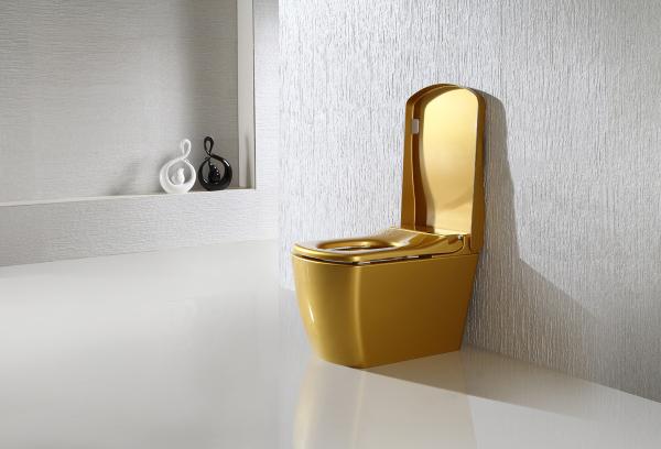 Gold Color Smart One Piece Toilet 220V / 110V Intelligent remote control