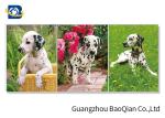 Lovely 3d Animal Picture With Black Frame , Lenticular 3d Stereograph Printing