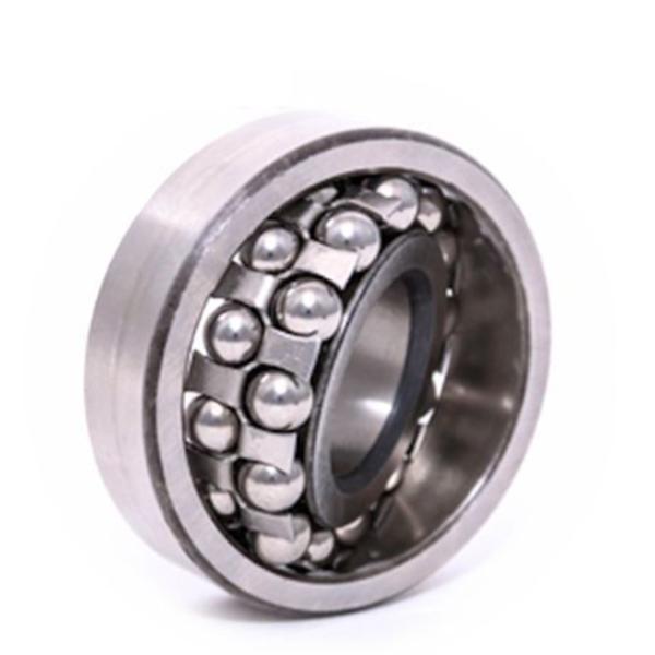 1209K+H209 Self Aligning Ball Bearings Double Row 45*85*58mm Precision Ball