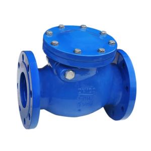 China Non Return Stainless Steel Check Valve Spring Loaded Medium Pressure factory