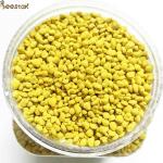 Pure Fresh Natural Rape Pollen Bee Product for Beekeeping Breeding