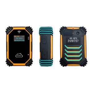 China Online Cloud Guard Tour Patrol System IP68 factory
