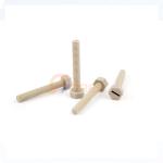 Industrial PEEK 1000 Machined Parts Screw High Temperature Resistance