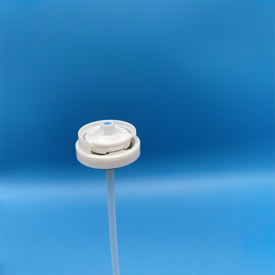 Eco-Friendly Antibacterial Deodorant Valve - For Sustainable Living - Specification & Green Usage