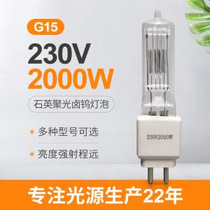 China 230v 2000 Watt Quartz Iodine Lamp G15 Explosion Proof High Power factory