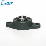High Precision Pillow Block Bearings UCFL206 Cast Iron Housing UCFL Series