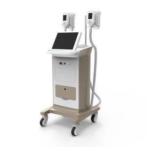 China fat freeze cryolipolysis slimming treatment slim sonic cellulite reduction machine for sale factory