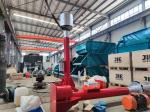 Diesel Fuel Carbon Steel Flare Ignition Device Vertical Installation