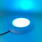 42W Surface Mounted LED Pool Light