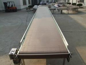 China Conveyor for Rice Mill Transportation Rice factory