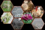 13.9kw Fully Automatic 20x35mm Gabion Box Machine