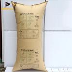Pharmaceutical Aviation 900*1800mm Air Bag Container