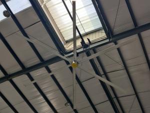 China 3.6M 12ft Commercial Electric High Ceilings Large HVLS Fans factory