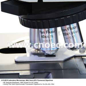 APO Trinocular Compound Optical Microscope with Halogen Lamp Illumination
