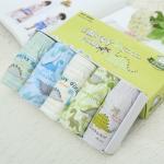 XL 3XL Cartoon Boxer Shorts Lounge Underwear Triangle For Boys Children
