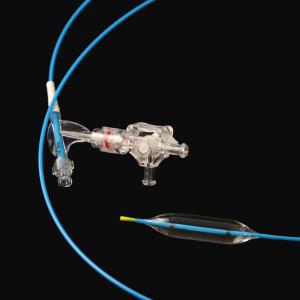 China OEM ODM Digestive Tract Dilation Balloon Catheter Working Length 2300mm factory