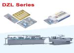 Fully Automatic Medicine Bottle Blister Packaging Machine Line