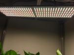 Minimalist Design 240W 2.7umol/J UV LED Grow Lights