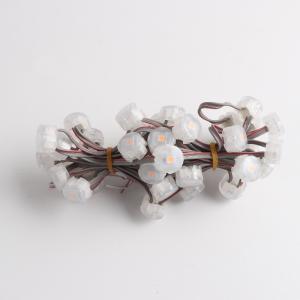 China Miracle Bean 1W Epistar Chip 20mm RGB LED Point Light Waterproof Outdoor IP67 with PC Body factory