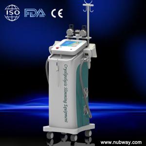 China Infrared Cryolipolysis Body Slimming Machine RF For Skin Wrinkle Removal factory