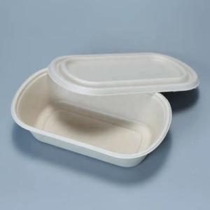 China Sugarcane Eco Friendly Biodegradable Plates Food Packaging 1100ml Custom Logo factory