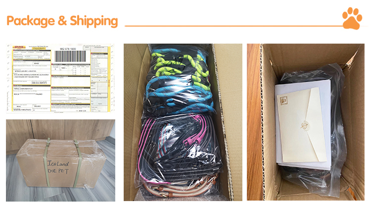 Waterproof Small Large Plastic Nylon puppy collar and leash , Multi Colors Dog Automatic Retractable Leash Custom