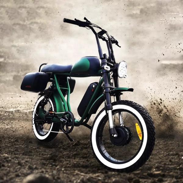 20 Inch Dual Motor Electric Bicycle 7 Speed Full Color Display Fat Tyre Electric