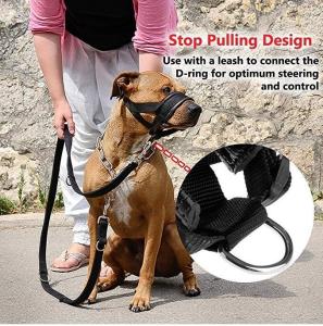 China Nylon Dog Muzzle Collar Leash Harness Set Soft Padded Dog Mouth Cover Anti Bite factory