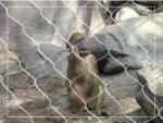 Durable Knotted Stainless Steel Wire Rope Mesh 1mm-3mm