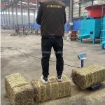 500-700KG Hay Bale Compactor Alfalfa Baling Machine with Video Technical Support